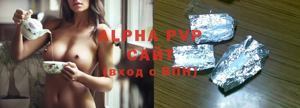 стаф Арсеньев