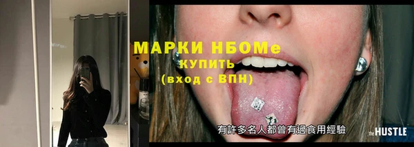 стаф Арсеньев