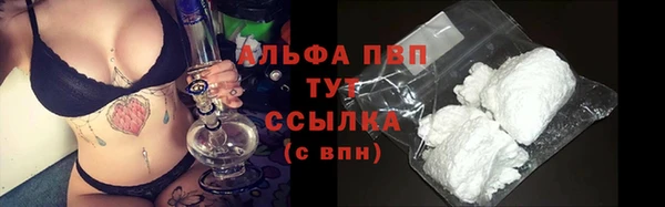 стаф Арсеньев