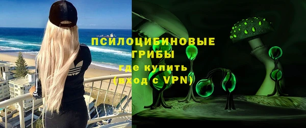 стаф Арсеньев