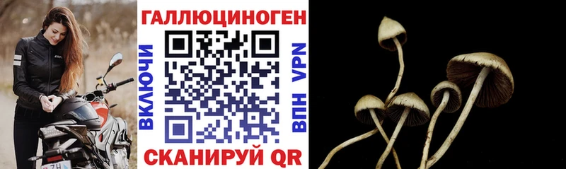 Псилоцибиновые грибы мицелий  Крым 